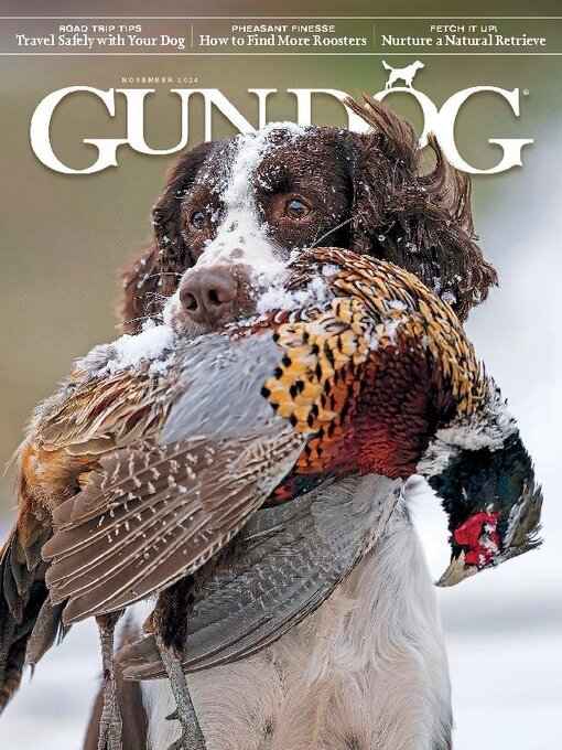 Title details for Gun Dog by KSE Sportsman Media, Inc. - Available